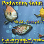 moyo, DTP/Sk�ad, Foldery i ulotki, wystawy