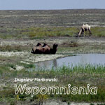 Moyo, DTP/Sk�ad, Ok�adka, Zbigniew Pie�kowski. Wspomnienia